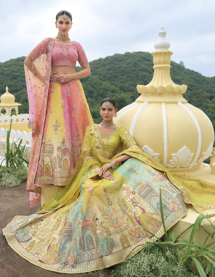 engagement partywear shaded multicoloured ghaghra choli