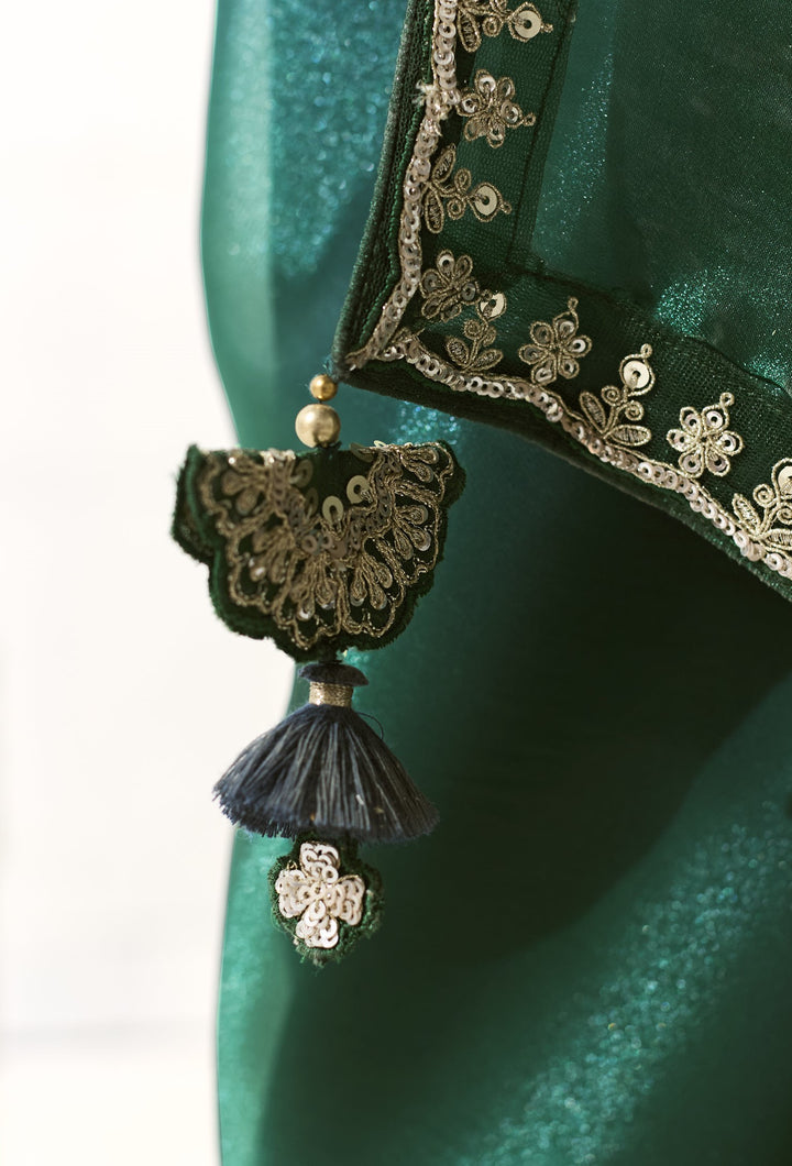 ethnic indian wear saree in shaded colour