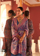Pashmina Weaving Designer Sari