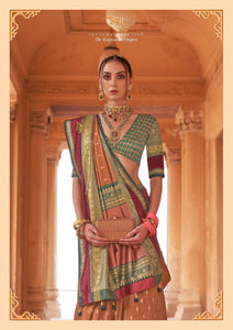 Shaadi Functions Wear Silk Saree