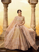 Latest Tissue Coloured Gota Silk Net Ethnic Lehenga Choli by Fashion Nation