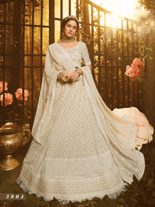 Dainty Lucknowi Lehenga Choli at Cheapest Prices by Fashion Nation 