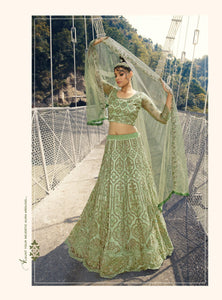 Designer Party Wear Lehenga Choli